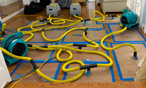 Professional Crawl Space Water Removal technician working in Newtown, CT